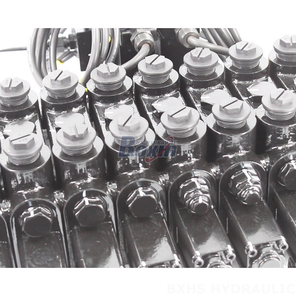 Global Wholesale: DCV150-10-NPT Manual & Electro-hydraulic Directional Valves detail image
